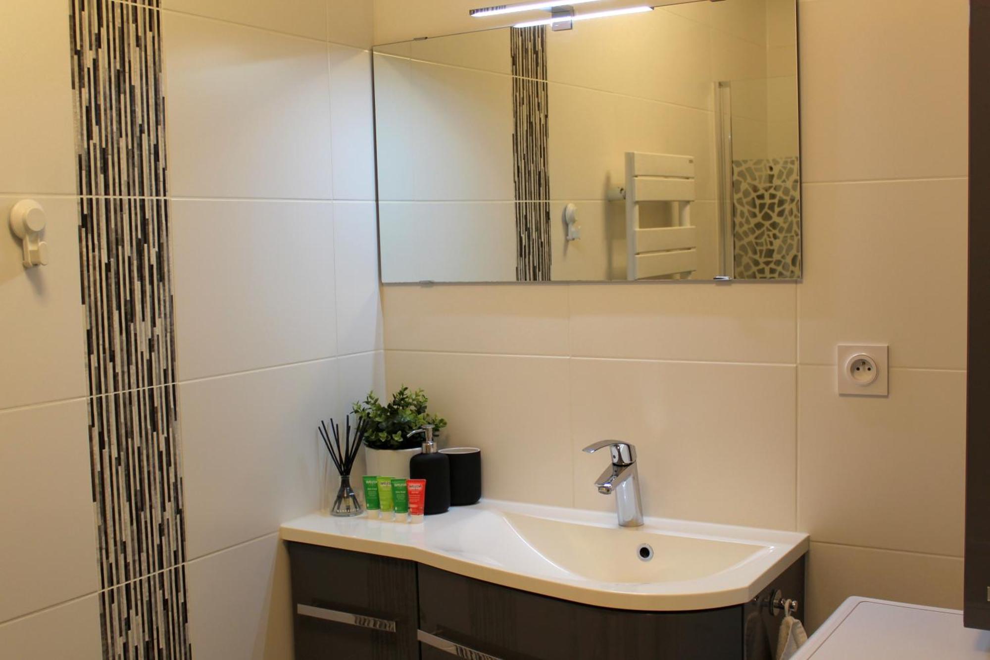 Апартаменти A Few Steps From Basel With Balcony And Free Private Parking Сен-Луї Екстер'єр фото