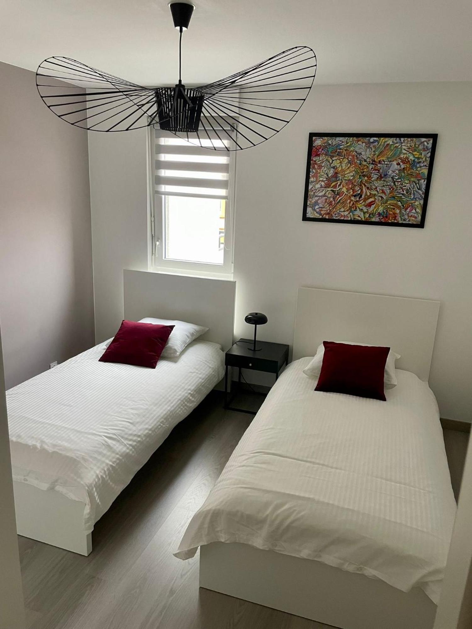 Апартаменти A Few Steps From Basel With Balcony And Free Private Parking Сен-Луї Екстер'єр фото